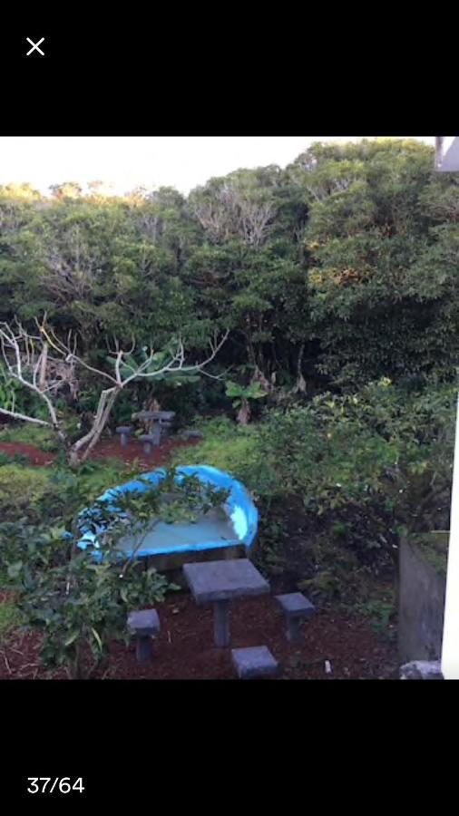 Adega Guest House 오르타 외부 사진